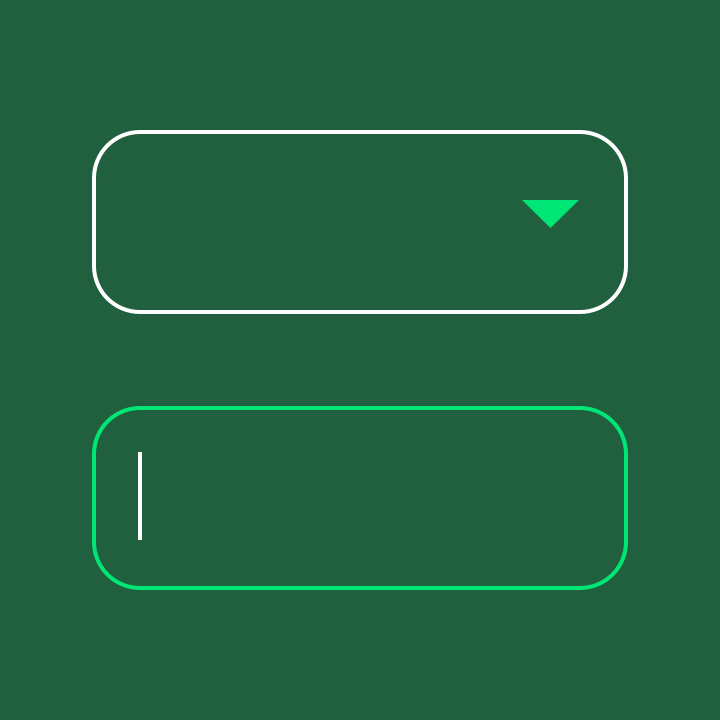 Outlined text field