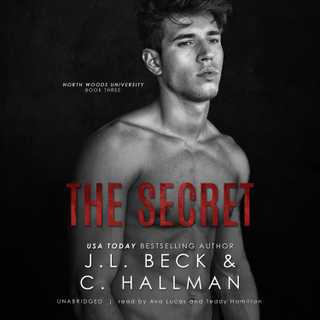 The Secret by J. L. Beck