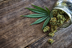 Drasztikus következmények: a német drogliberalizáció eddigi mérlege