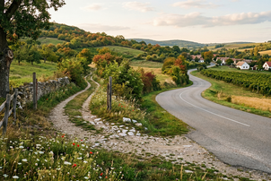 Híd a jövőbe: egyetemi mentorok segítik a kistelepülési fiatalok boldogulását