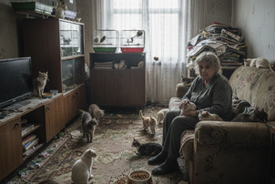 A gyilkos jó szándék: az állatgyűjtögetés lélektana és veszélyei