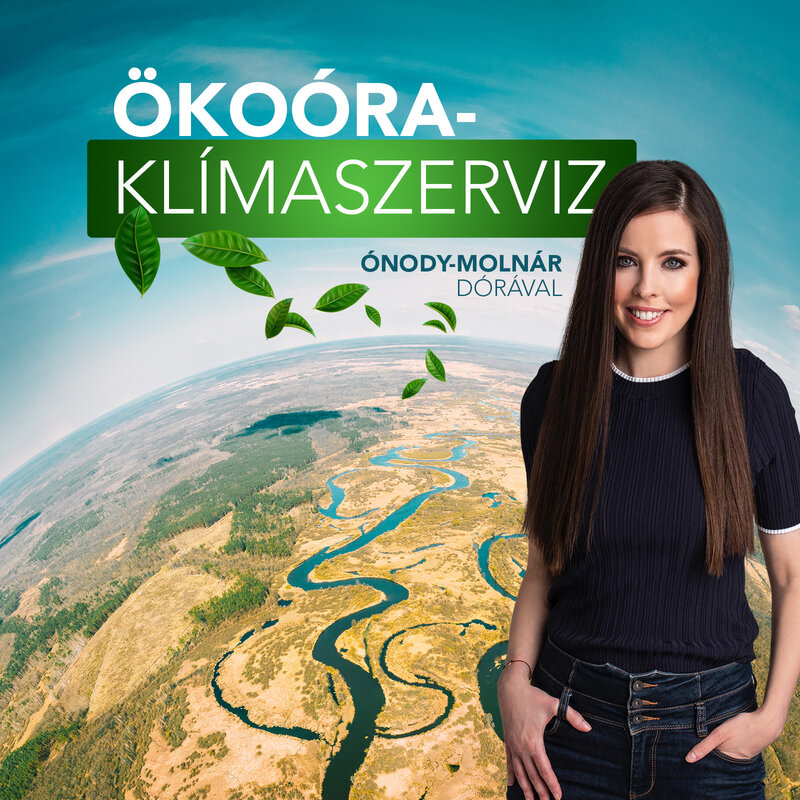 Ökoóra - Klímaszervíz