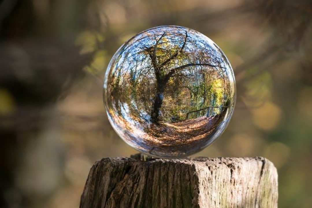 reflection of tree in a glass orb reflection of tree in a glass orb