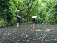 People walking a labyrinth in the rain