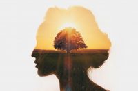 Silhouette of woman with image of tree and sunset inside, an internal journey
