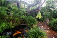 person meditating in a lush garden