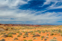 Scenic New Mexico landscape