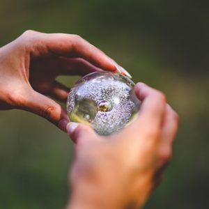 Hands holding a prism