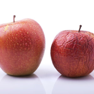 <img src="aging apple.jpg" alt="Aging apple representing aging process"/>