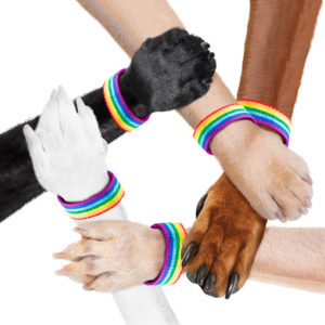 Diverse Animal Pride paws shaking