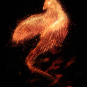 Fire Bird