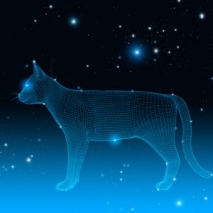 A cat in the stars illustrates the concept of catstrology.