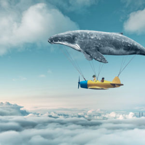 Flying whale digital drawing