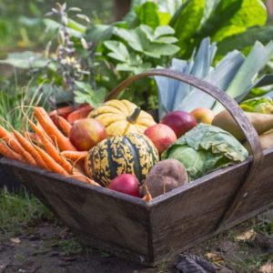 Winter vegetables in wood basket