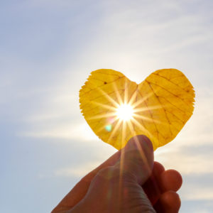 Sun shines through a heart-shaped leaf