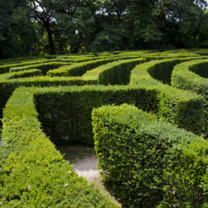 A green labyrinth illustrates the winding paths of a labyrinth