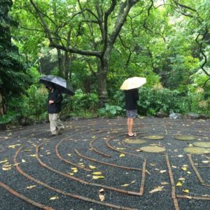 People walking a labyrinth in the rain