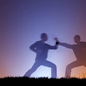 Two shadow figures practicing martial arts