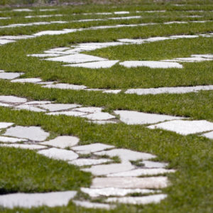 A grassy labyrinth