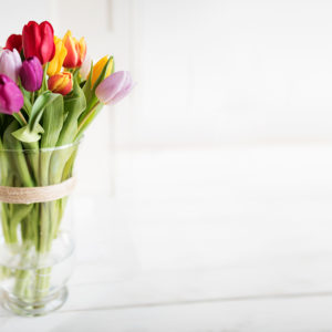 Colorful tulips in vase