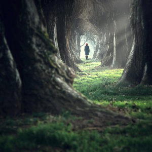 Woman walking in the mystic magic deep forest