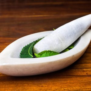 Neem with stone pestle and mortar