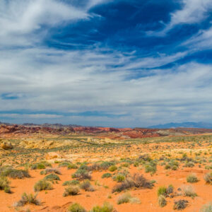 Scenic New Mexico landscape