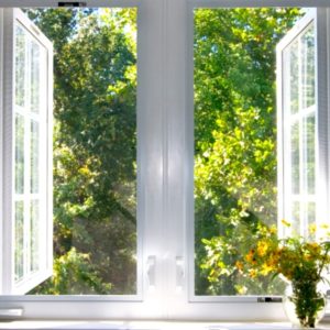 Large open windows with nature