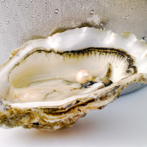 Pink pearl in oyster shell