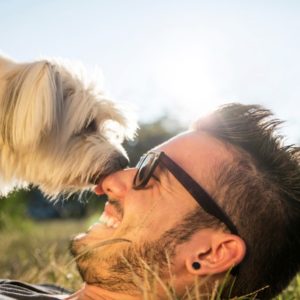 Small dog licking man's nose in grass