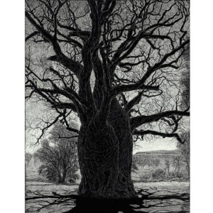 Large black and white tree