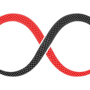 a red snake and a black snake intertwined