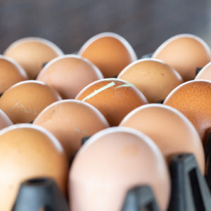 eggs in large packaging