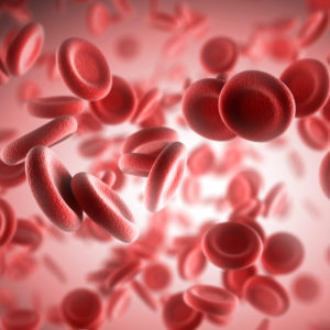 blood cells