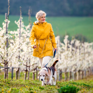 woman walking dog in spring orchard