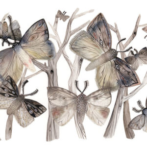Painting of moths and tree branches