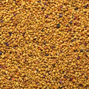 Closeup of bee pollen