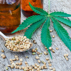 cbd oil, hemp leaves