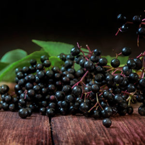 Elderberries