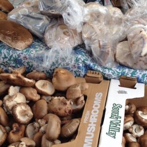 Mushrooms at a farmers market