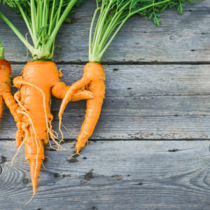 Imperfect carrots produce that is imperfect