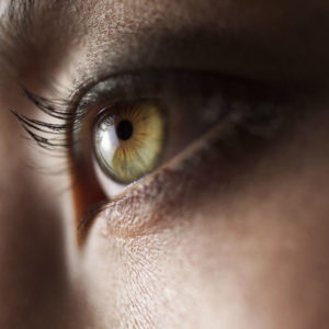 A woman's green eyes