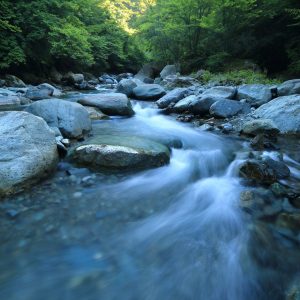 Increase your chi like water flowing in a riverbed