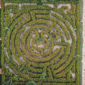 green labyrinth sky view