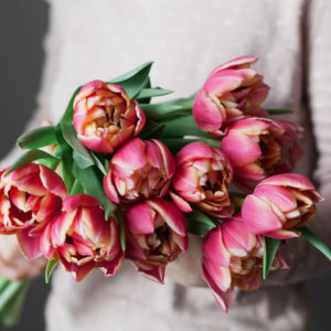 beautiful bouquet of tulips