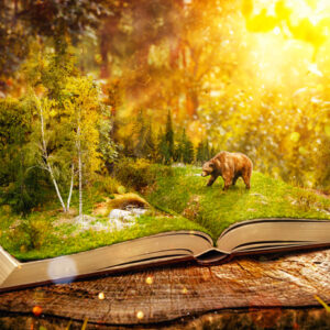 open book with forest for sacred writing practice journaling