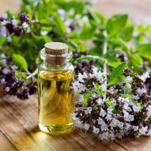 oregano essential oil