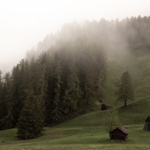 A misty forest evokes the spiritual practice of silence