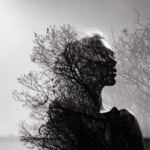 woman and tree branches