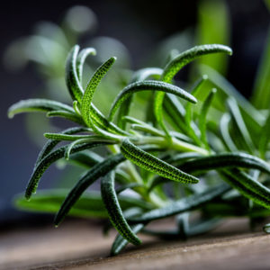 rosemary